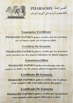 certificado de garantía del papiro